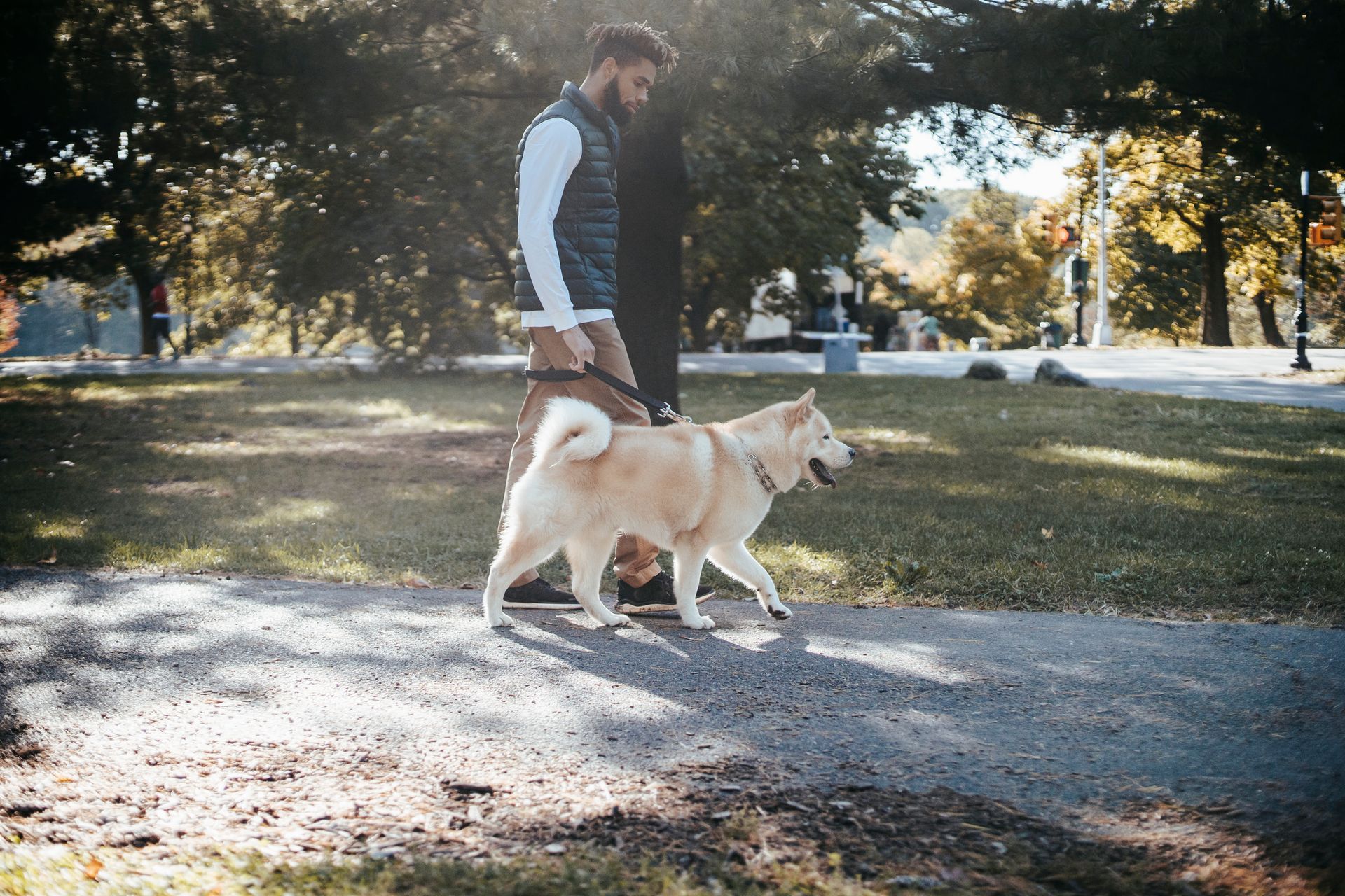 The Walk Is Not for Exercise